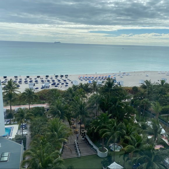 Meet your Posher, Liv - Picture 5 of 12